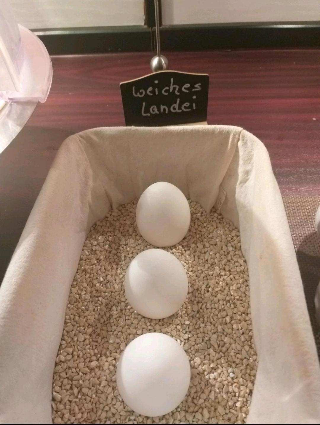 Hotel Klinger Plettenberg Zewnętrze zdjęcie